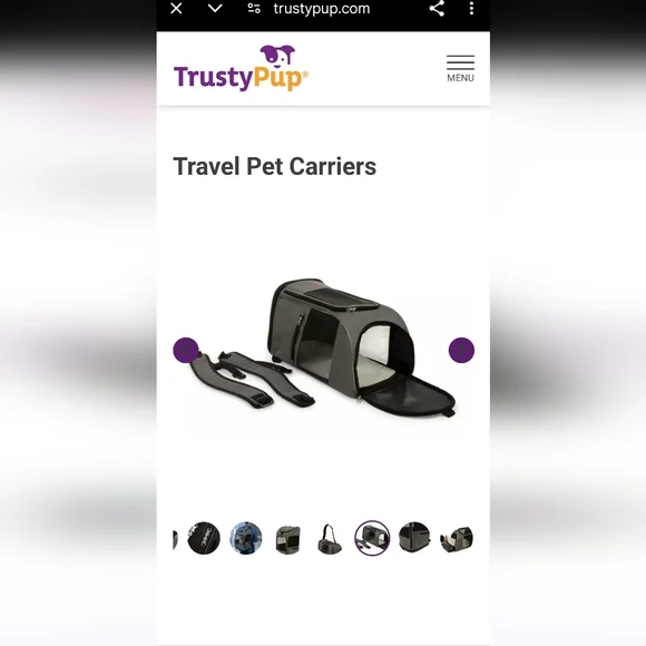 2 in 1 pet travel bag