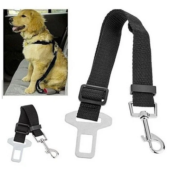 Dog seatbelt