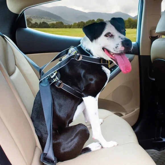 Kurgo Impact Dog Harness. Size medium