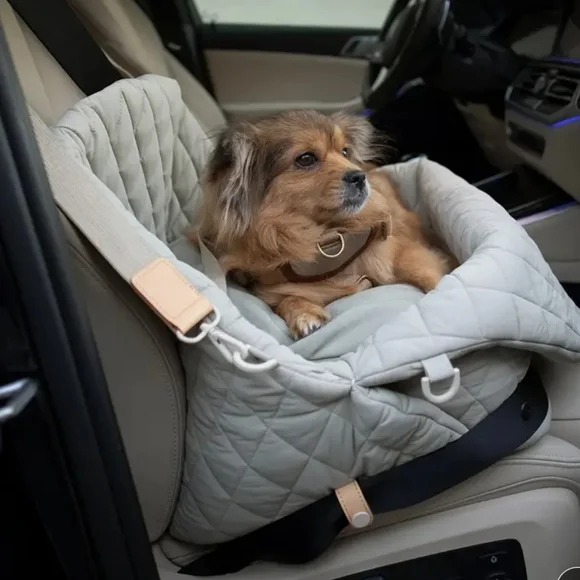 Gray Dog Carrier with Compact Design for Travel