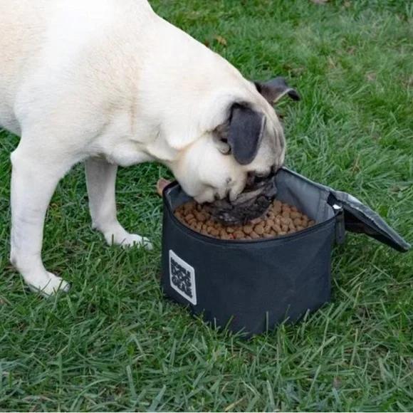 Mobile Dog Gear insulated dog food carrier in blue