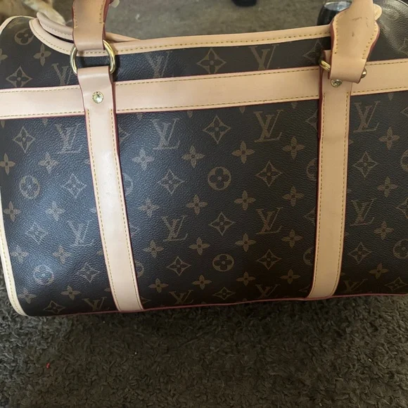 Louis Vuitton dog carrier