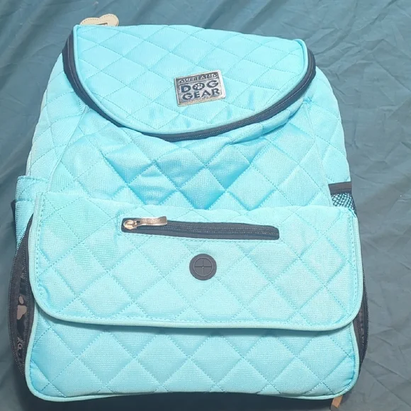 Aqua Quilted Backpack