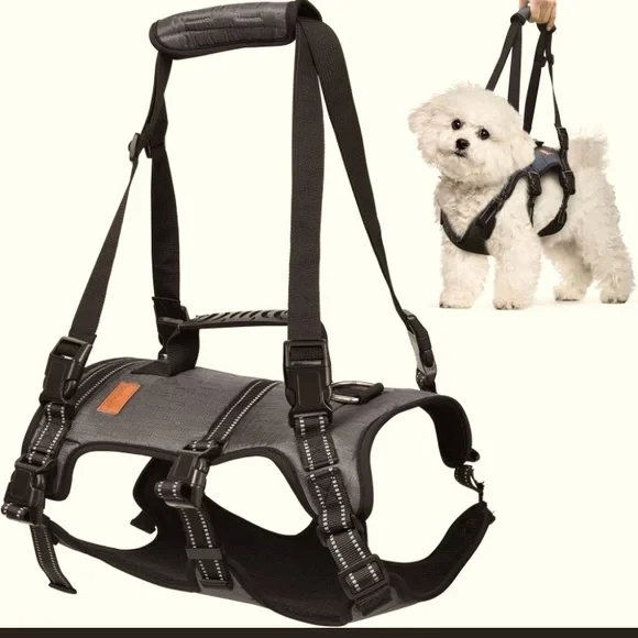 Dog lift harness