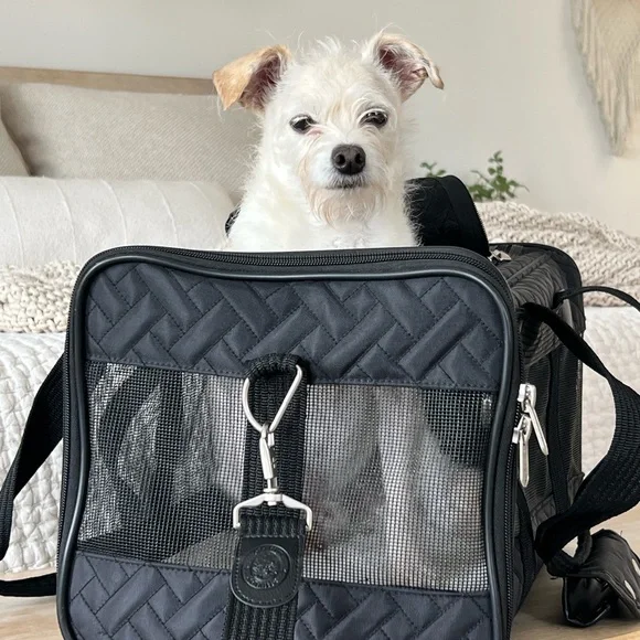 Dog travel carrier