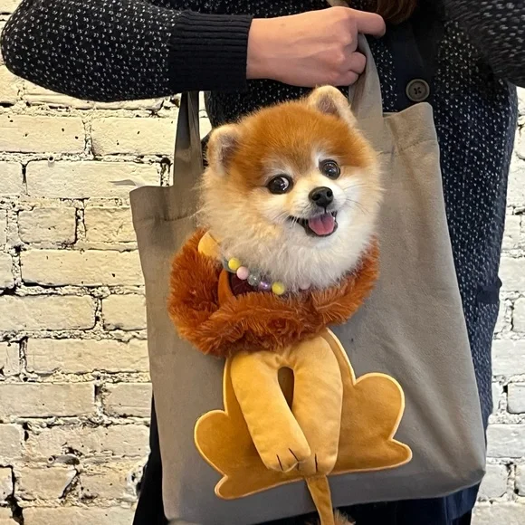 Lion pet tote bag -seen on TikTok