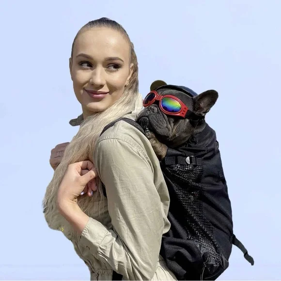 Frenchie back pack