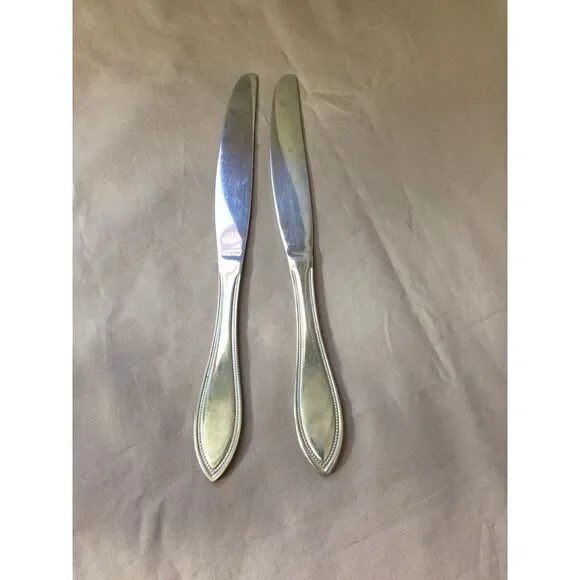 Pfaltzgraff Everyday American Bead 2 Dinner Knives Stainless Steel 9 1/2