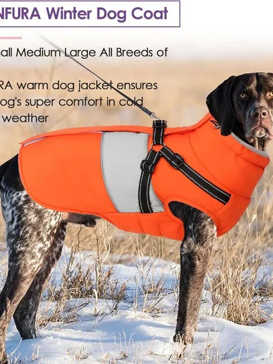 Dog Coat, XXL Dog Jacket Winter with Harness Built in