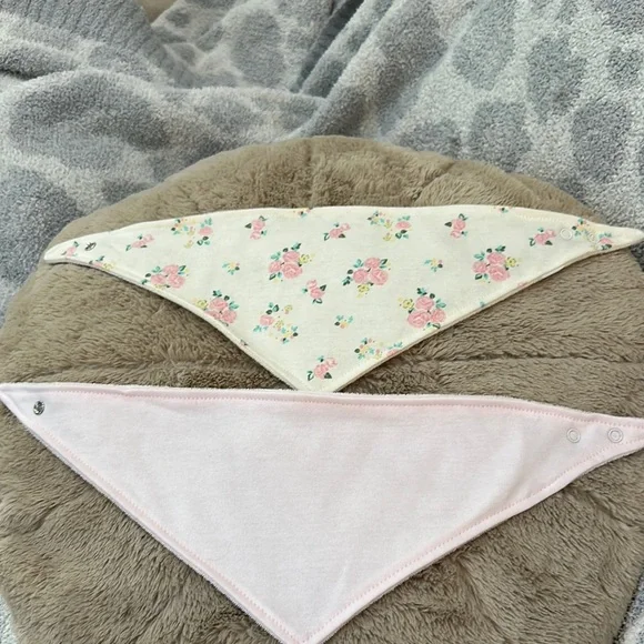 Floral and Pink Baby/Pet Bandana Bibs