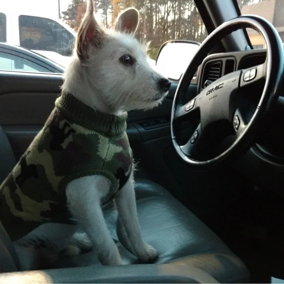 Camouflage Dog Sweater