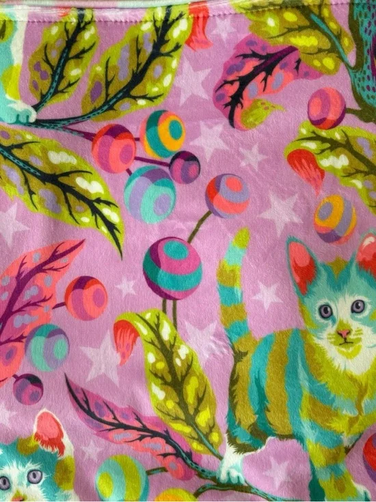 Disco Kitty Minky Baby Blanket