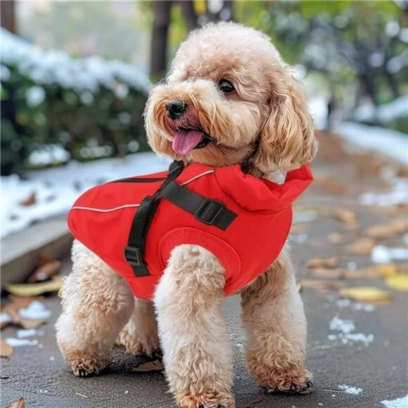 Dog Winter Coat Reflective Water-Resistant Jacket, Fleece Lined Puppy XS