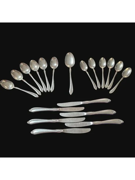 19 Pc Vintage 1986 Oneida Oneidacraft Deluxe Stainless Flatware ARBOR Lot