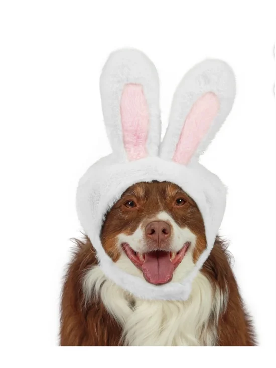 NEW Vibrant Life Dog Bunny Ears Costume One Size White Pink