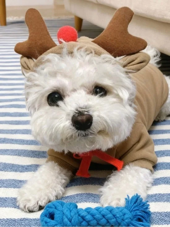 NWOT Small Reindeer Dog Hoodie Christmas Pet Costume