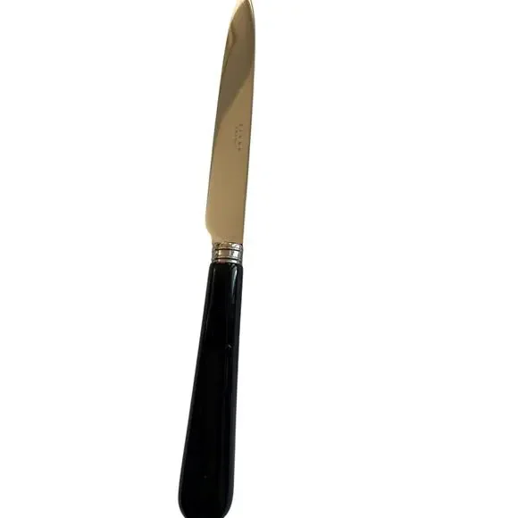 NEW Sabre Paris Pop Unis Noir Dinner Knife Black Handle Stainless Steel
