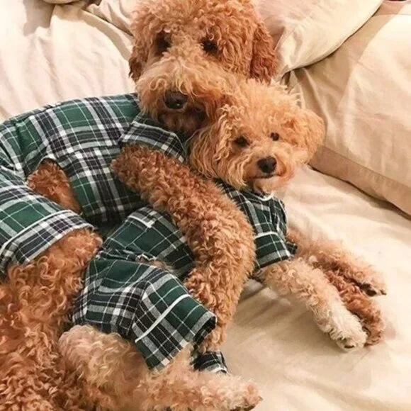 FabDog Plaid Pajamas Puppy Dog 20