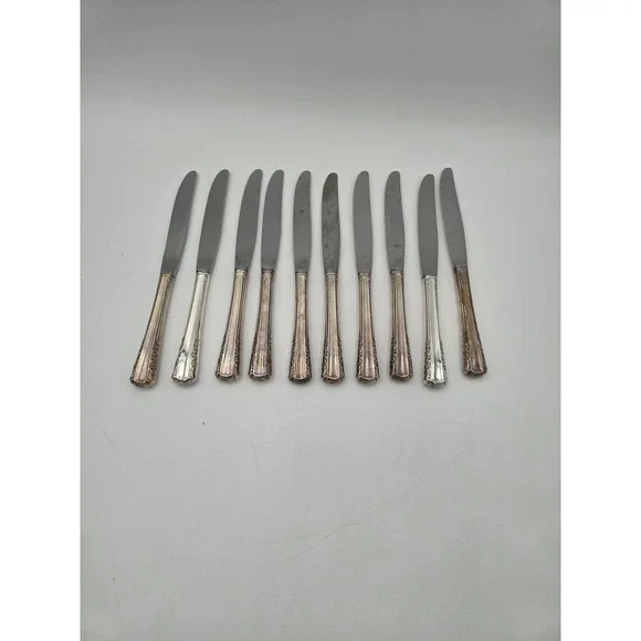 Holmes & Edwards May Queen Silverplate Dinner Knives Set of 10 Floral 9.25in