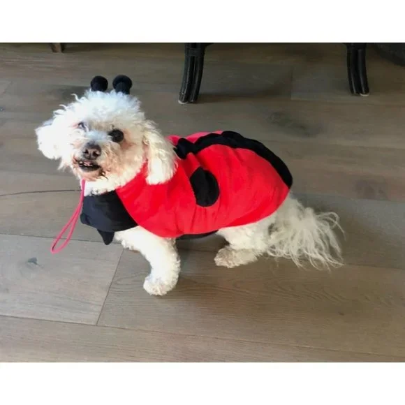 Target‎ Ladybug Dog Costume Size Large 18 inch Halloween 2 Piece Lady Bug Red