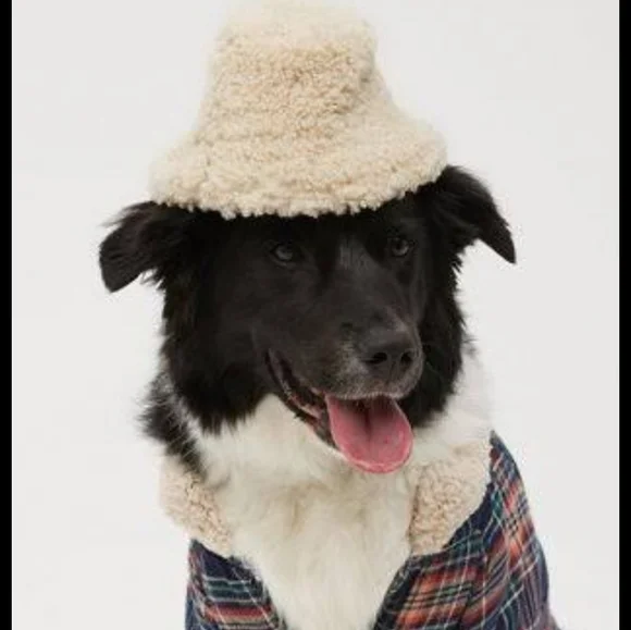 Aerie Dog Black Sherpa Hat Nwt Size Xs‎