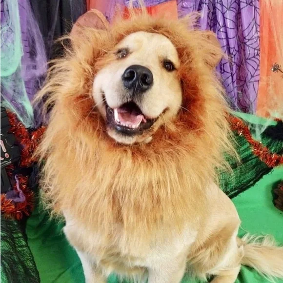 NWT Lion’s Mane Halloween Costume For Dogs Size XS/S