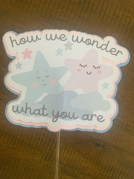 Gender Reveal/Baby Shower Cake Topper
