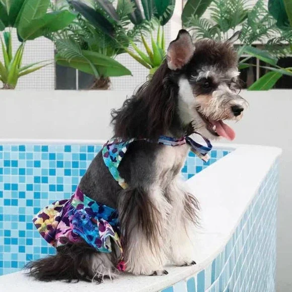 Adorable Dog 2-piece Multi Rainbow Bikini Swimsuit Size Small
