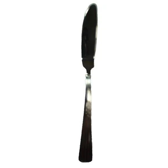 Reed & Barton Flat Handle Master Butter Knife TRINITY HALL 18/10 stainless 7