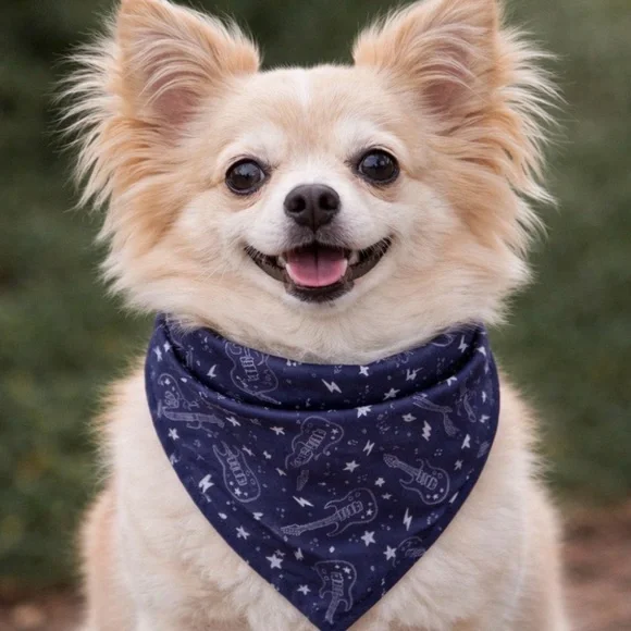 Rock n Roll Dog Bandana