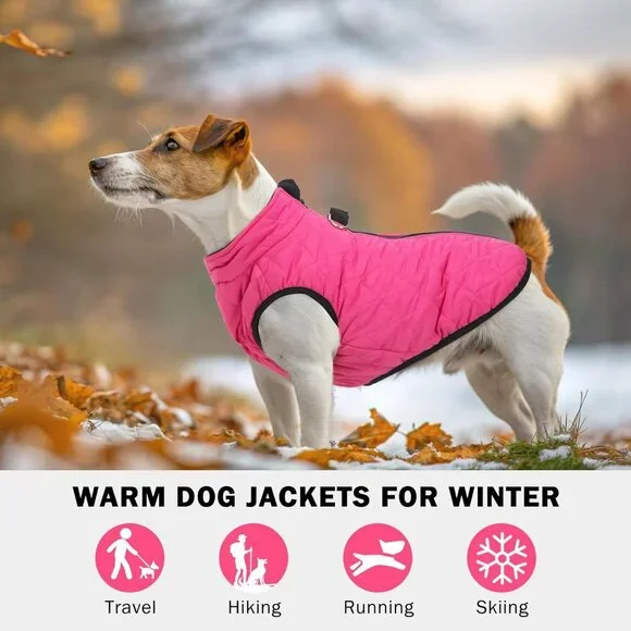 Dog Winter Coat