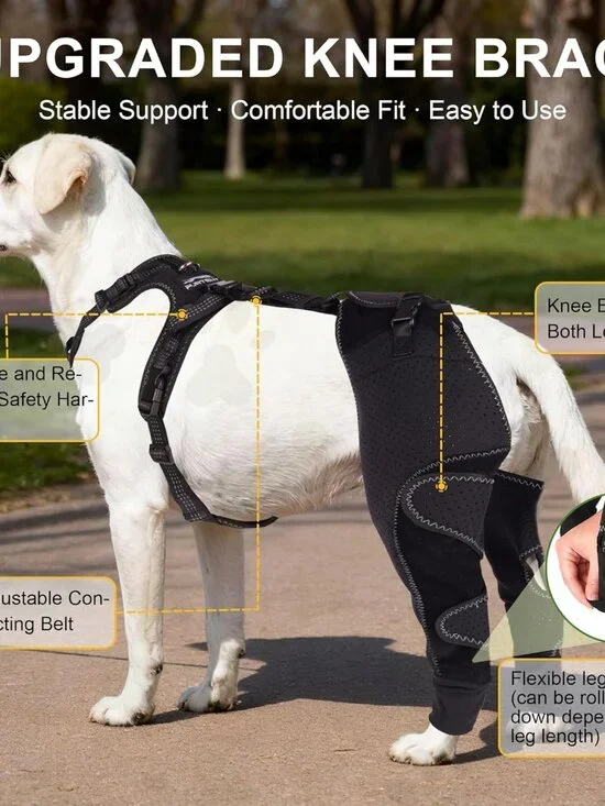 Dog ACL Knee Brace with Cruciate Ligament Injuries