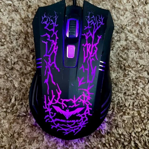 Gaming mouse. Works perfectly fine. Changes colors.