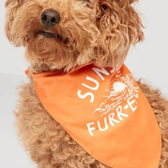 “Host Pick” Old Navy - Graphic Bandana for Pets