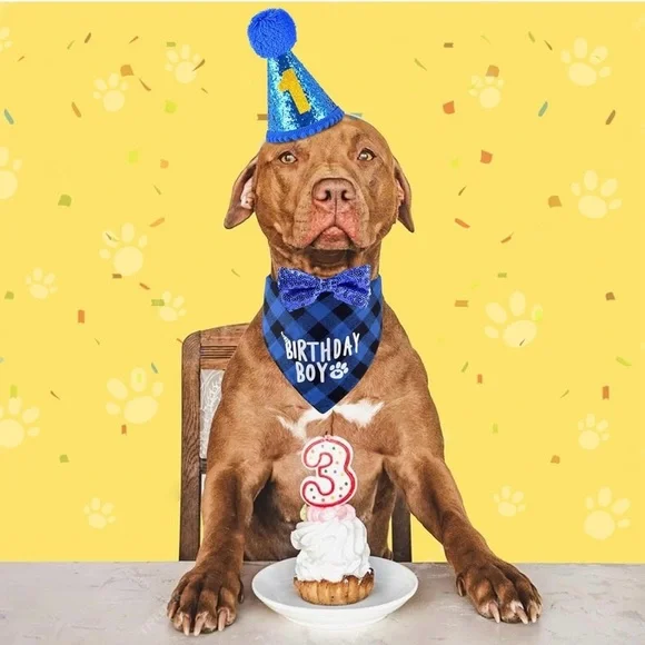 Dog Birthday Boy Party Set Bandana Hat Bow Tie NWT