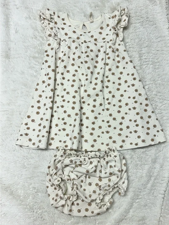 Baby Dress Quincy Mae Daisy Confetti Set with Bloomers