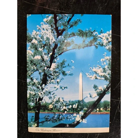 The Washington Monument Postcard‎ Cherry Blossoms Blue Sky Water Reflection