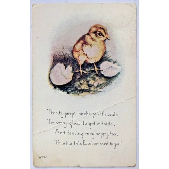 Vintage Antique Easter Postcard‎ Cute Hatching Chick Owen Card Pub. Divided Back