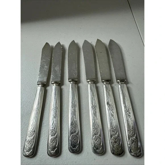 Oneida Silver Carnation Fruit Knife Silverplate Flaws