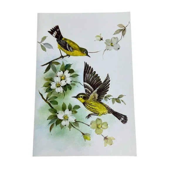 Birds Magnolia Warbler Greeting Card A Sunshine‎ Card USA Envelope