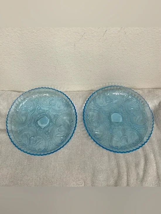 NWT New Pier 1 Imports Blue Floral Sheer Glass Round Plate Set of 2 Boho Coastal