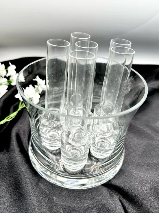 Pier 1 Imports 6 Shot Glasse Chillers in Clear Glass Ice Bucket.