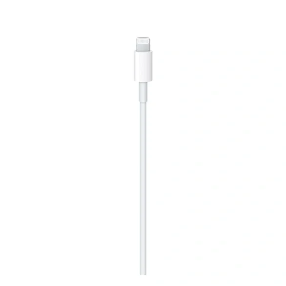 USB-C to Lightning Cable (1 m)