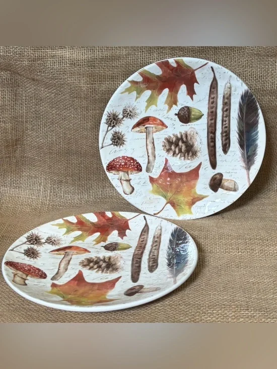 Pier 1 Ironstone Woodland Mushroom Salad Plates Stoneware Cottage Goblin Core