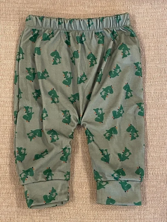 Dinosaur Pants