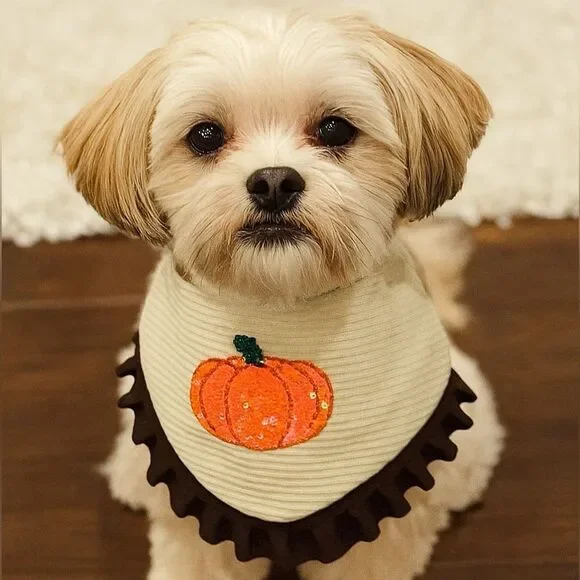 Pumpkin Chai Latte Dog Bandana (PCL)