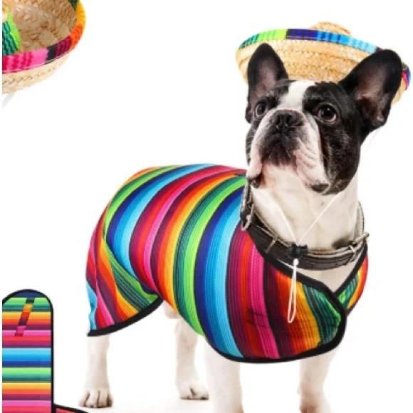 New Comes w Sombrero Serape/Poncho Multicolor L/XL