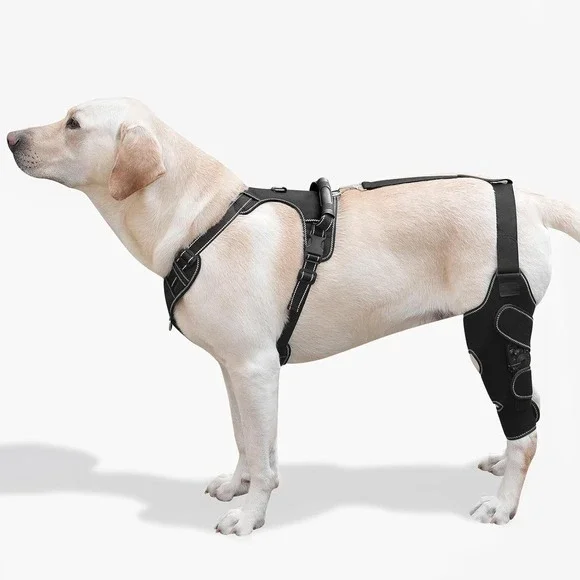 FurWell‎ M Left Dog Knee Brace Rear Leg ACL CCL Support with Chest Harness