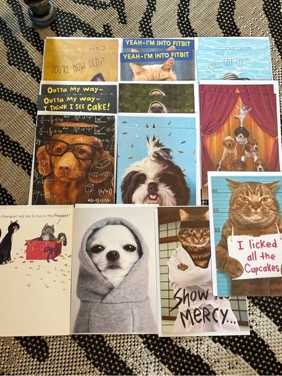 🆕Recycled Paper Greetings-American Greetings Animal Birthday Cards, Bundle Of 20