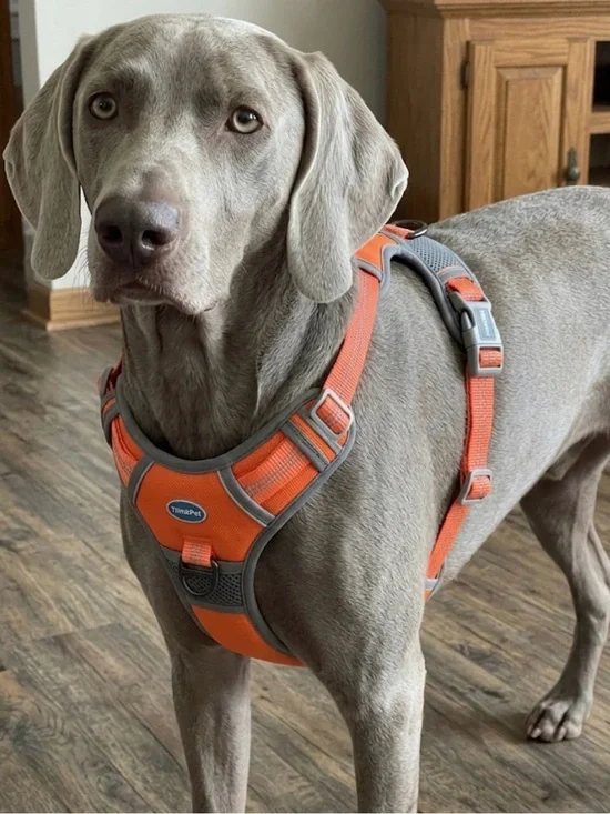 THINKPET No-Pull Dog Harness size M Orange Gray